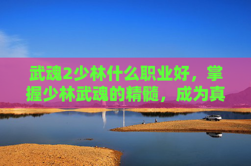 武魂2少林什么职业好，掌握少林武魂的精髓，成为真正的少林高手