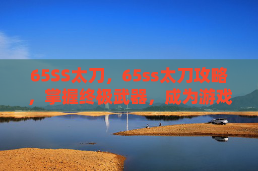65SS太刀，65ss太刀攻略，掌握终极武器，成为游戏高手