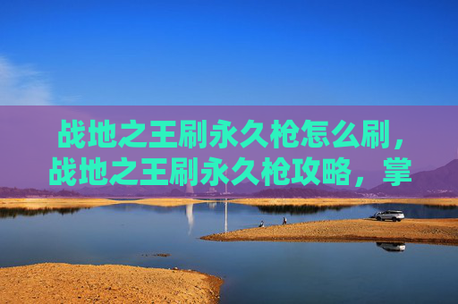 战地之王刷永久枪怎么刷,战地之王刷永久枪攻略,掌握技巧与策略,轻松获取你想要的枪械 战地之王刷永久枪怎么刷,战地之王刷永久枪攻略,掌握技巧与策略,轻松获取你想要的枪械