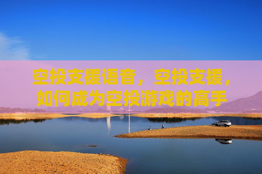 空投支援语音，空投支援，如何成为空投游戏的高手