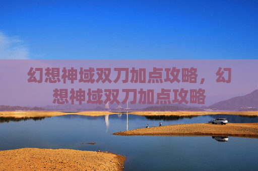 幻想神域双刀加点攻略，幻想神域双刀加点攻略