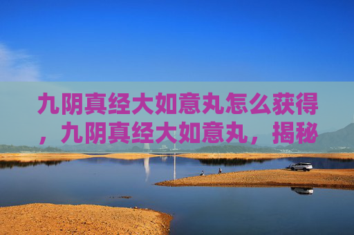 九阴真经大如意丸怎么获得，九阴真经大如意丸，揭秘其神秘配方与使用技巧