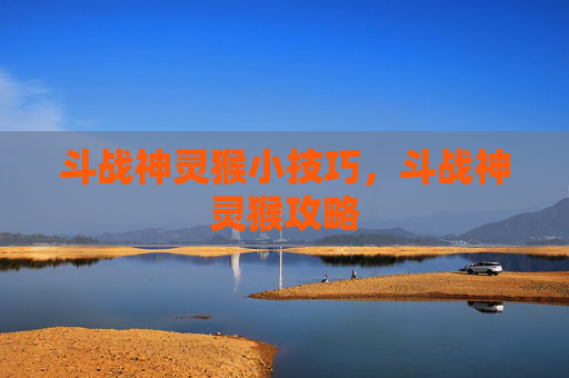 斗战神灵猴小技巧，斗战神灵猴攻略