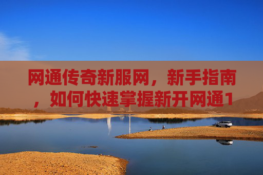 网通传奇新服网，新手指南，如何快速掌握新开网通1.76传奇的精髓