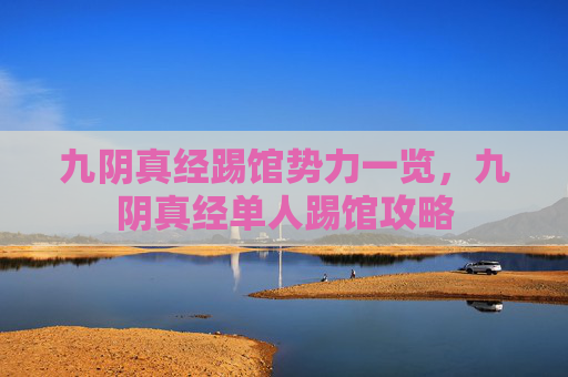 九阴真经踢馆势力一览，九阴真经单人踢馆攻略