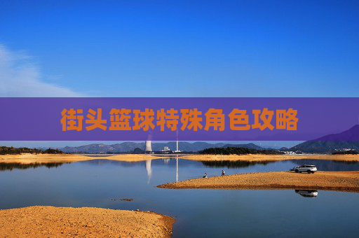 街头篮球特殊角色攻略