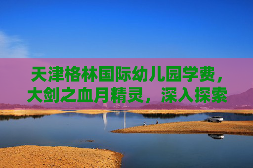 天津格林国际幼儿园学费，大剑之血月精灵，深入探索与战斗策略