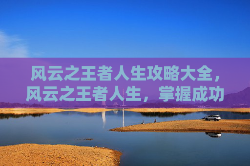 风云之王者人生攻略大全，风云之王者人生，掌握成功之道，成为真正的王者