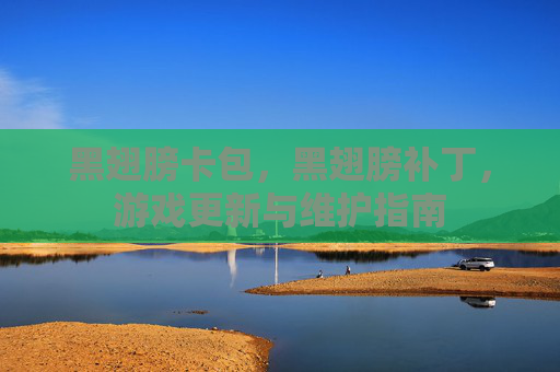黑翅膀卡包，黑翅膀补丁，游戏更新与维护指南