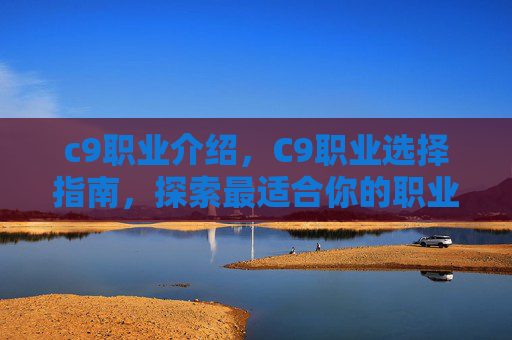 c9职业介绍，C9职业选择指南，探索最适合你的职业道路
