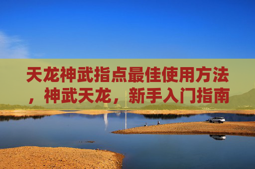 天龙神武指点最佳使用方法,神武天龙,新手入门指南与进阶攻略 天龙神武指点最佳使用方法,神武天龙,新手入门指南与进阶攻略