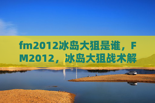 fm2012冰岛大狙是谁，FM2012，冰岛大狙战术解析