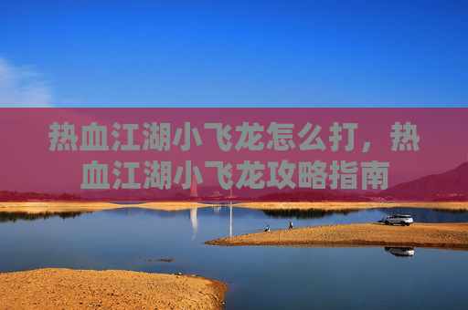 热血江湖小飞龙怎么打，热血江湖小飞龙攻略指南