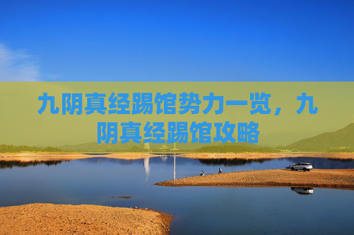 九阴真经踢馆势力一览，九阴真经踢馆攻略