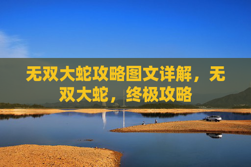 无双大蛇攻略图文详解，无双大蛇，终极攻略