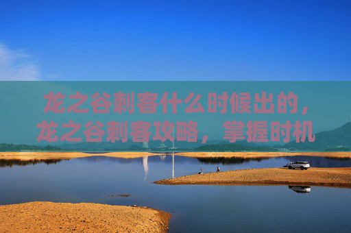 龙之谷刺客什么时候出的，龙之谷刺客攻略，掌握时机，成为游戏中的致命一击