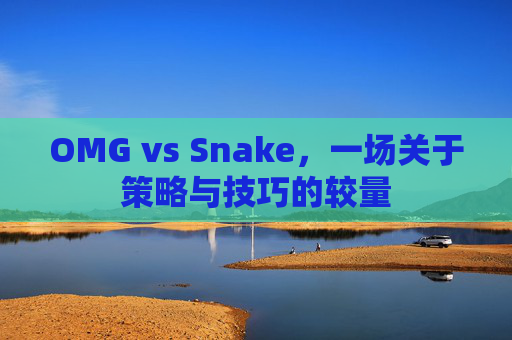 OMG vs Snake，一场关于策略与技巧的较量
