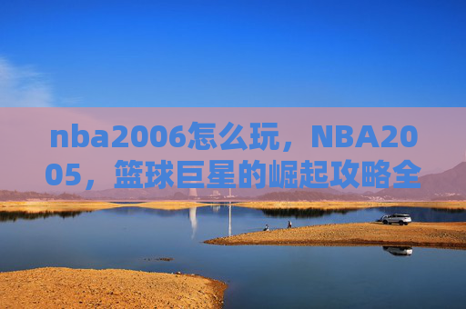 nba2006怎么玩，NBA2005，篮球巨星的崛起攻略全解析