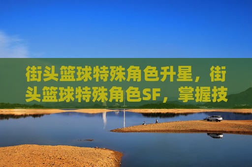 街头篮球特殊角色升星，街头篮球特殊角色SF，掌握技巧与战术，成为场上的王者