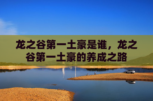 龙之谷第一土豪是谁，龙之谷第一土豪的养成之路