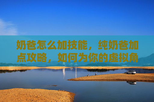 奶爸怎么加技能,纯奶爸加点攻略,如何为你的虚拟角色增加力量与智慧? 奶爸怎么加技能,纯奶爸加点攻略,如何为你的虚拟角色增加力量与智慧?