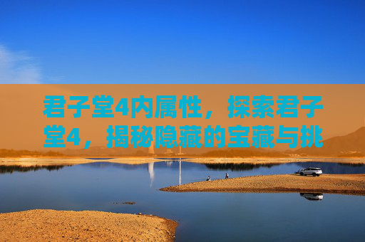 君子堂4内属性，探索君子堂4，揭秘隐藏的宝藏与挑战