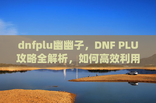 dnfplu幽幽子，DNF PLU攻略全解析，如何高效利用资源，提升角色实力