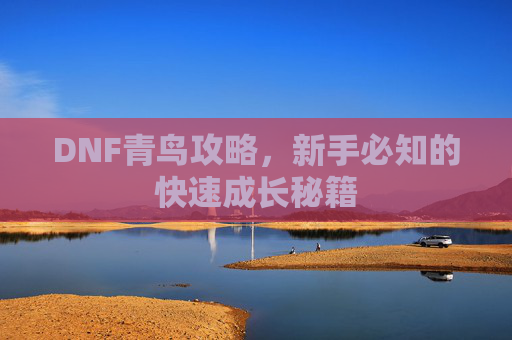 DNF青鸟攻略,新手必知的快速成长秘籍 DNF青鸟攻略,新手必知的快速成长秘籍