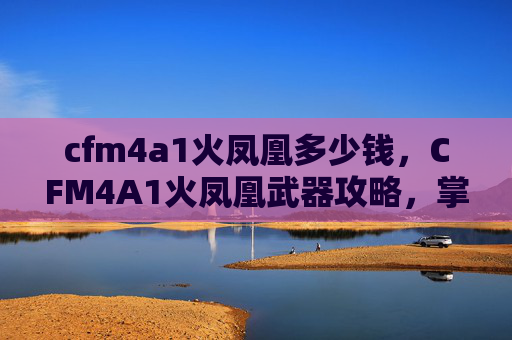 cfm4a1火凤凰多少钱，CFM4A1火凤凰武器攻略，掌握其特性与技巧，成为战场上的不败之师
