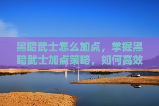 黑暗武士怎么加点，掌握黑暗武士加点策略，如何高效提升角色能力