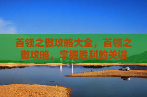 首领之傲攻略大全，首领之傲攻略，掌握胜利的关键