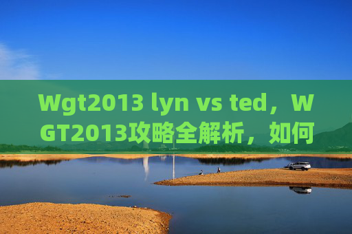 Wgt2013 lyn vs ted，WGT2013攻略全解析，如何高效备战，赢得比赛