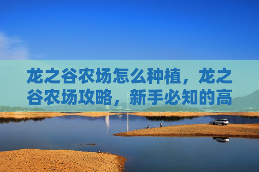 龙之谷农场怎么种植，龙之谷农场攻略，新手必知的高效种植技巧