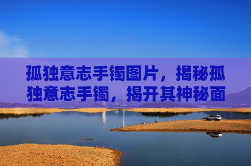 孤独意志手镯图片，揭秘孤独意志手镯，揭开其神秘面纱，探索其背后的历史与传说