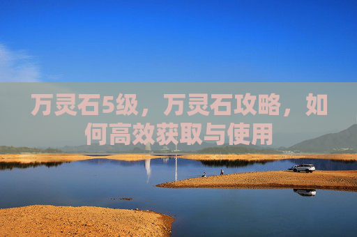 万灵石5级,万灵石攻略,如何高效获取与使用 万灵石5级,万灵石攻略,如何高效获取与使用