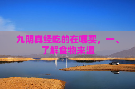 九阴真经吃的在哪买，一、了解食物来源