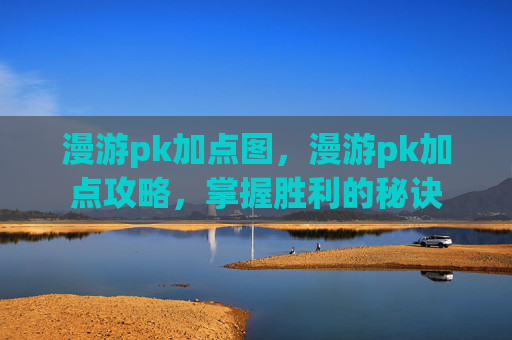 漫游pk加点图,漫游pk加点攻略,掌握胜利的秘诀 漫游pk加点图,漫游pk加点攻略,掌握胜利的秘诀