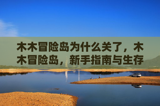 木木冒险岛为什么关了，木木冒险岛，新手指南与生存技巧