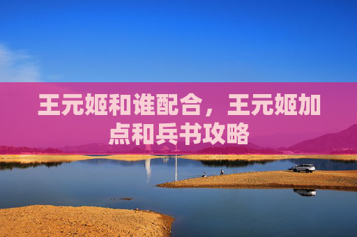 王元姬和谁配合，王元姬加点和兵书攻略