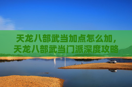 天龙八部武当加点怎么加，天龙八部武当门派深度攻略，加点技巧与实战应用