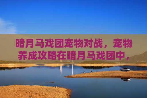 暗月马戏团宠物对战，宠物养成攻略在暗月马戏团中，如何培养你的萌宠？