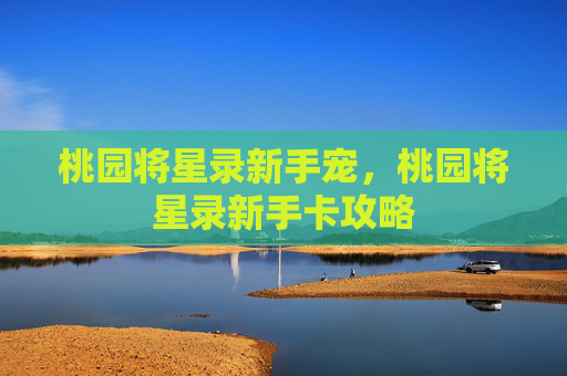 桃园将星录新手宠,桃园将星录新手卡攻略 桃园将星录新手宠,桃园将星录新手卡攻略