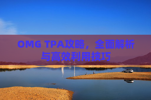 OMG TPA攻略，全面解析与高效利用技巧