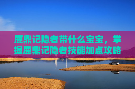 鹿鼎记隐者带什么宝宝,掌握鹿鼎记隐者技能加点攻略,提升战斗效率 鹿鼎记隐者带什么宝宝,掌握鹿鼎记隐者技能加点攻略,提升战斗效率