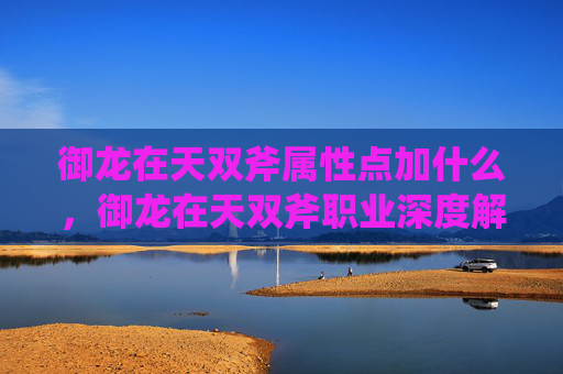 御龙在天双斧属性点加什么，御龙在天双斧职业深度解析，如何高效加点以提升战斗能力