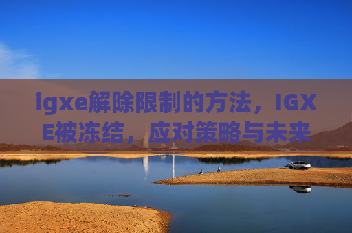 igxe解除限制的方法，IGXE被冻结，应对策略与未来展望
