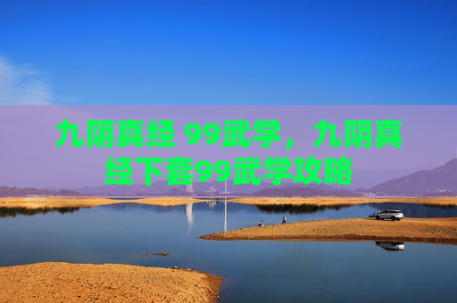 九阴真经 99武学，九阴真经下套99武学攻略