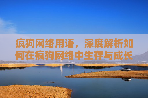 疯狗网络用语,深度解析如何在疯狗网络中生存与成长 疯狗网络用语,深度解析如何在疯狗网络中生存与成长