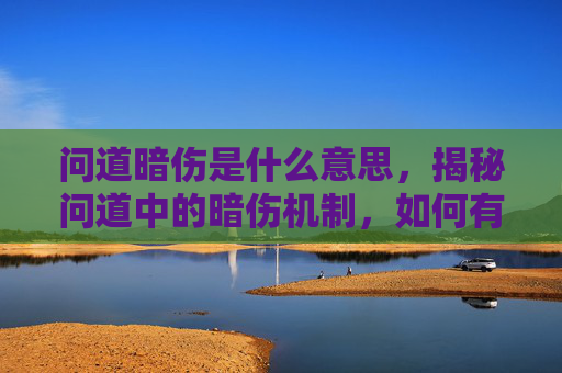 问道暗伤是什么意思,揭秘问道中的暗伤机制,如何有效避免与应对? 问道暗伤是什么意思,揭秘问道中的暗伤机制,如何有效避免与应对?