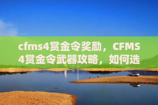 cfms4赏金令奖励，CFMS4赏金令武器攻略，如何选择最适合你的赏金猎人装备？